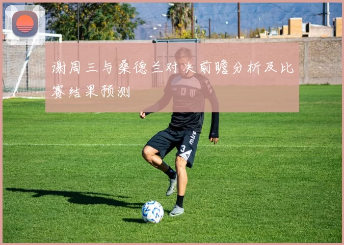 谢周三与桑德兰对决前瞻分析及比赛结果预测