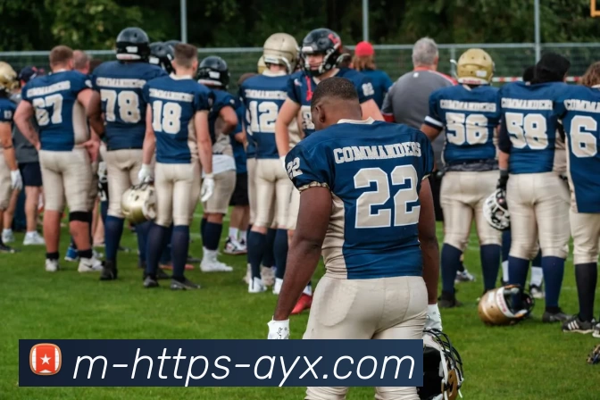 爱游戏品牌故事